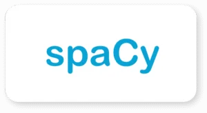 spaCy-logo-300x164